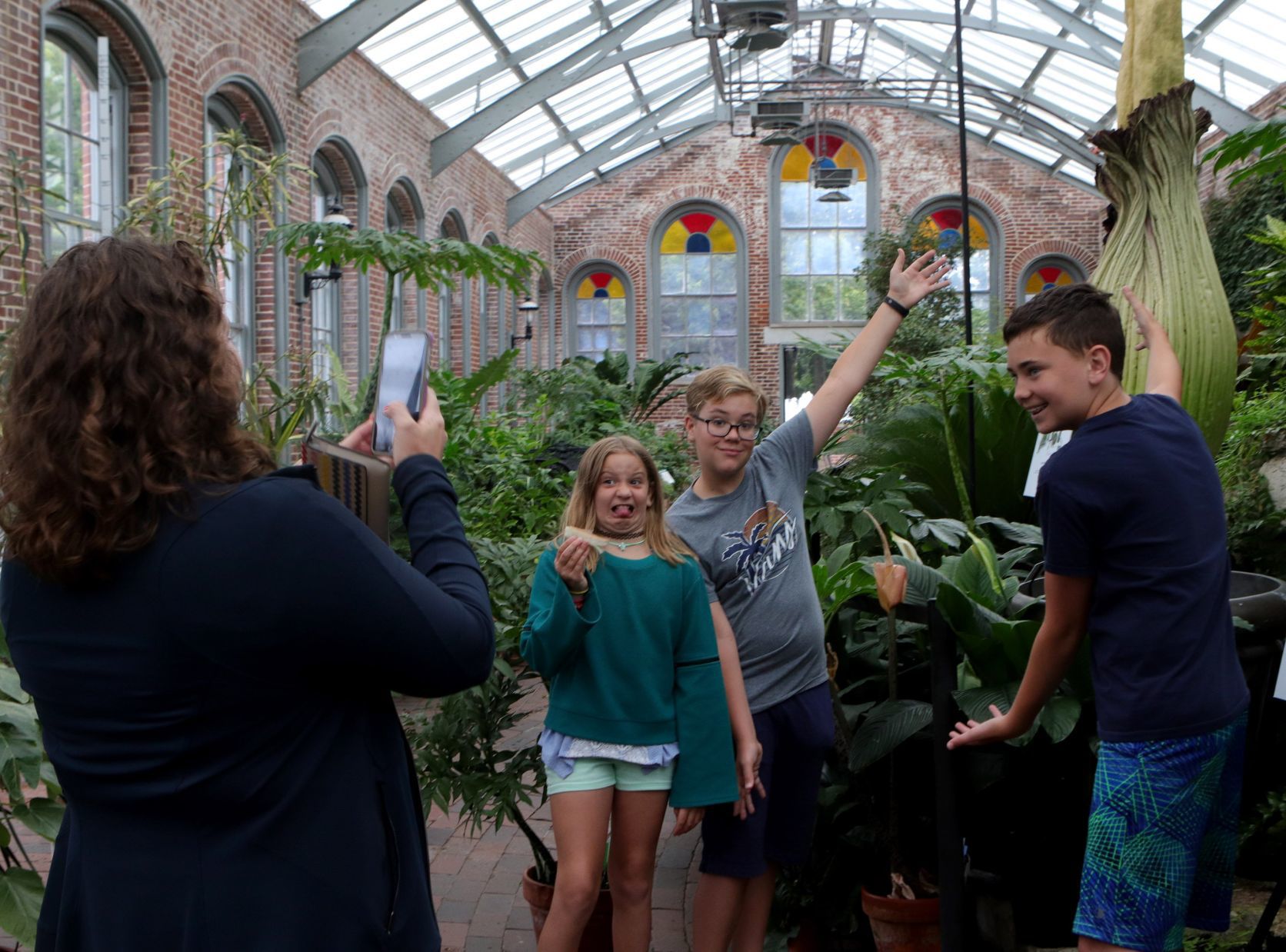 Corpse flower at MoBot will not bloom